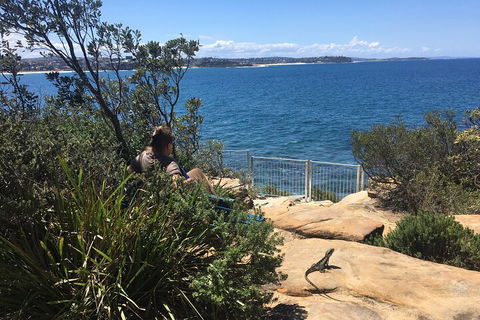Manly Snorkel Trip And Nature Walk With Local Guide - Accommodation Sunshine Coast 4