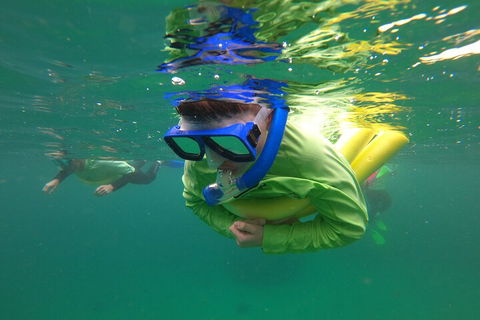 Manly Snorkel Trip And Nature Walk With Local Guide - Accommodation Sunshine Coast 5
