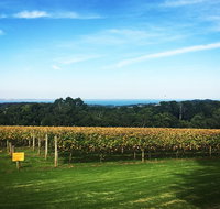 Yarra Valley Private Car Winery Tour And Chocolate.1-7 Passengers One Car Price