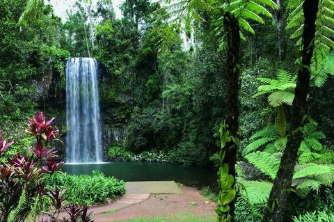 Paronella Park And Millaa Millaa Falls Full-day Tour From Cairns - Accommodation Sunshine Coast 3