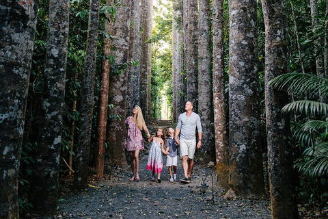 Paronella Park And Millaa Millaa Falls Full-day Tour From Cairns - Accommodation Sunshine Coast 5
