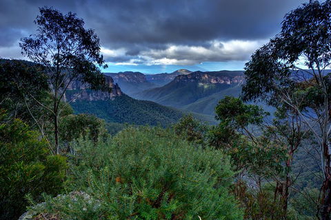 Ultimate Blue Mountains And Wildlife Tour - Accommodation Sunshine Coast 1