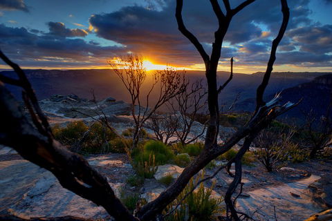Ultimate Blue Mountains And Wildlife Tour - Accommodation Sunshine Coast 2