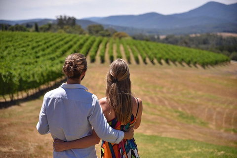 Yarra Valley Wine, Bubbles And Gin Tour! - Accommodation Sunshine Coast 4