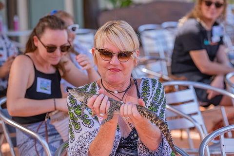 Malcolm Douglas Crocodile Park Tour Including Transportation - Accommodation Sunshine Coast 2