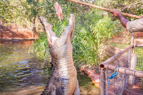 Malcolm Douglas Crocodile Park Tour Including Transportation - Accommodation Sunshine Coast 5