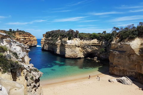 Helicopter Flight + Fine Dining Private Luxury Great Ocean Road Tour - Accommodation Sunshine Coast 1