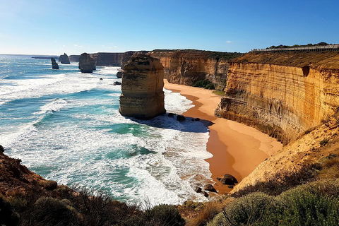 Helicopter Flight + Fine Dining Private Luxury Great Ocean Road Tour - Accommodation Sunshine Coast 4