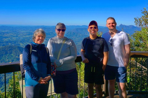 Natural Arch, Rainforest & Volcano Canyon - Private Half Day Tour - Accommodation Sunshine Coast 3