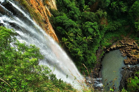 Natural Arch, Rainforest & Volcano Canyon - Private Half Day Tour - Accommodation Sunshine Coast 5