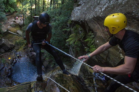 Blue Mountains Empress Canyon Adventure From Wentworth Falls - Accommodation Sunshine Coast 2
