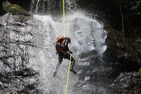 Blue Mountains Empress Canyon Adventure From Wentworth Falls - Accommodation Sunshine Coast 3
