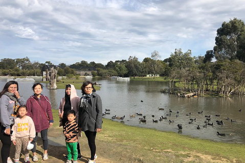 Phillip Island Penguins Private Tour - Accommodation Sunshine Coast 1