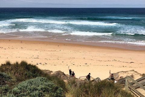 Phillip Island Penguins Private Tour - Accommodation Sunshine Coast 4