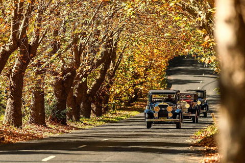 Blue Mountains Vintage Cadillac Tour With Local Guide - Accommodation Sunshine Coast 1