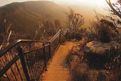 Blue Mountains Vintage Cadillac Tour With Local Guide - Accommodation Sunshine Coast 3