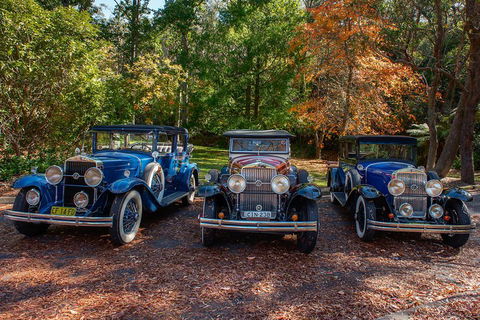 Blue Mountains Vintage Cadillac Tour With Local Guide - Accommodation Sunshine Coast 4