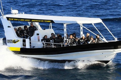 1.5HR Mudjimba Island Wildlife Safari - Accommodation Sunshine Coast 2