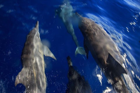 1.5HR Mudjimba Island Wildlife Safari - Accommodation Sunshine Coast 3