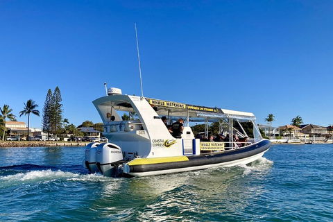 1.5HR Mudjimba Island Wildlife Safari - Accommodation Sunshine Coast 4
