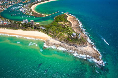 1.5HR Mudjimba Island Wildlife Safari - Accommodation Sunshine Coast 5