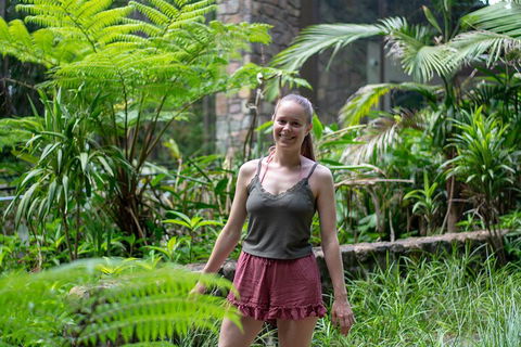 Full-Day Guided Hinterland Adventure Tour In Queensland - Accommodation Sunshine Coast 0