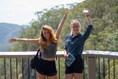 Full-Day Guided Hinterland Adventure Tour In Queensland - Accommodation Sunshine Coast 3