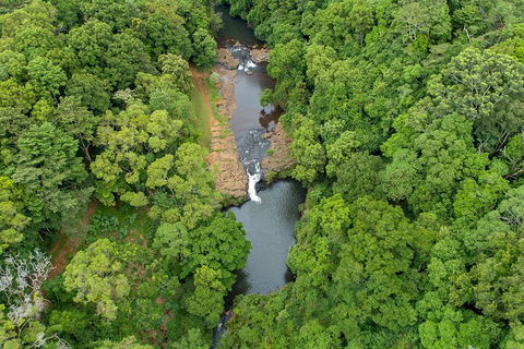 Full-Day Guided Hinterland Adventure Tour In Queensland - Accommodation Sunshine Coast 4