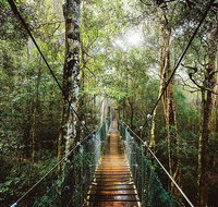 O'Reilly's  Lamington National Park from Gold Coast