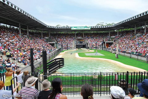 Croc Express To Australia Zoo From Brisbane - Accommodation Sunshine Coast 2
