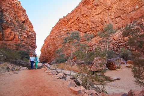 Best Of Alice Springs Full Day Tour - Accommodation Sunshine Coast 1