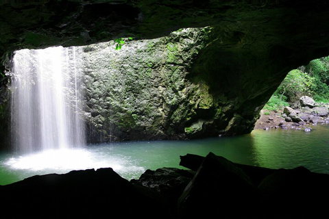 Natural Bridge & Springbrook Waterfalls Tour + Hot Air Balloon With Breakfast - Accommodation Sunshine Coast 2