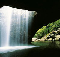 Natural Bridge  Springbrook Waterfalls Tour