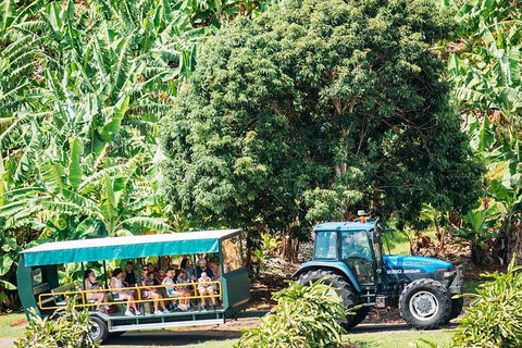 Northern Rivers Full Day Wine Tour - Accommodation Sunshine Coast 1