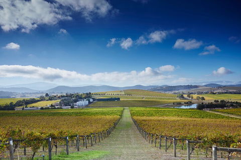 Yarra Valley Wine And Wildlife Self-Driving Tour - Accommodation Sunshine Coast 1