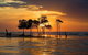 Delightful Darwin Self-Guided Audio Tour - thumb 3