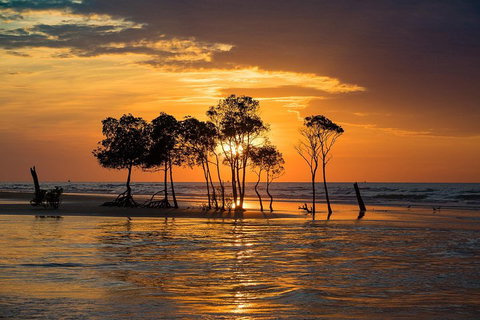 Delightful Darwin Self-Guided Audio Tour - Accommodation Sunshine Coast 3