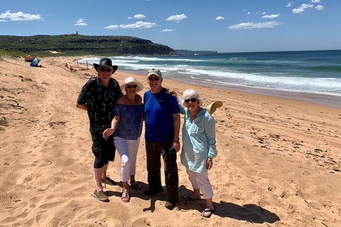 Shore Excursion: Sydney's Northern Beaches & Ku-ring-gai National Park Bus Tour - Accommodation Sunshine Coast 3