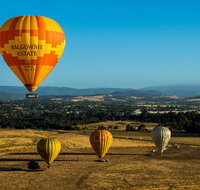 Yarra Valley Balloon Flight and Winery Tour