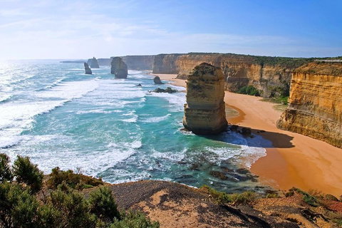Great Ocean Road Small-Group Ecotour From Melbourne - Accommodation Sunshine Coast 2