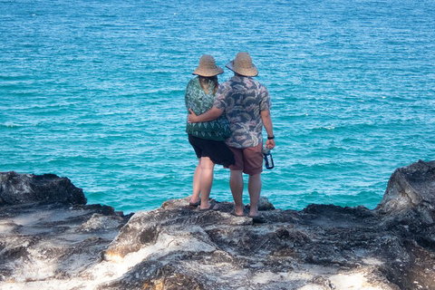 North Stradbroke Island Private Tour With Pickup - Accommodation Sunshine Coast 4
