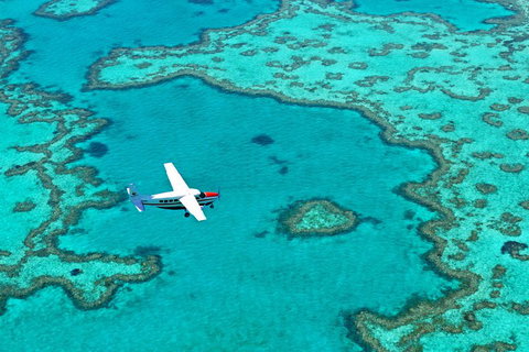 Fly & Sail Package (With Providence) - Accommodation Sunshine Coast 4