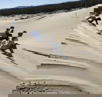 Port Stephens Bush Beach and Sand Dune 4WD Tag-Along Tour - Accommodation Sunshine Coast