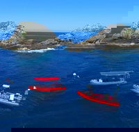 3-Hour Byron Bay Certified Scuba Diving Tour - Accommodation Sunshine Coast