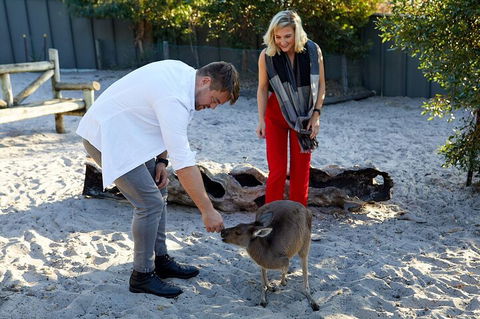 Albany's Whale Story - Accommodation Sunshine Coast 1