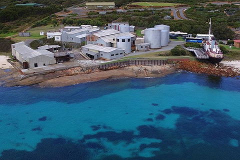 Albany's Whale Story - Accommodation Sunshine Coast 4