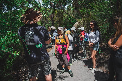 Wilsons Promontory Day Trip From Melbourne - Accommodation Sunshine Coast 2