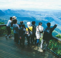 Springbrook National Park  Gold Coast Full Day Luxury Tour from Brisbane