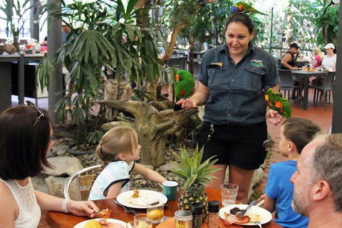 Wildlife Habitat Port Douglas - Accommodation Sunshine Coast 2