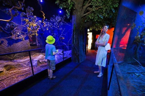 Wildlife Habitat Port Douglas - Accommodation Sunshine Coast 4